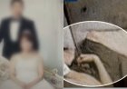 Kasus Mengguncang Korea Selatan: Suami Abaikan Istri Hingga Tubuhnya Dipenuhi Belatung Saat Masih Hidup